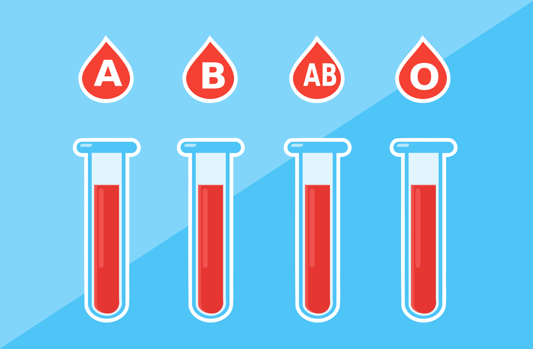 There are 4 groups of blood – A, B, AB, O. 